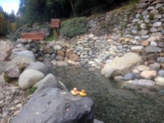 Thermal Springs in Pucon